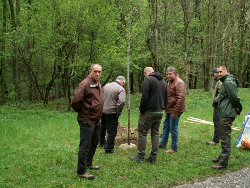 Výsadba pamätného stromu k príležitosti 100 výročia štátnej ochr Výsadba pamätného stromu k príležitosti 100 výročia štátnej ochrany prírody na Slovensku v ústí Zádielskej doliny 