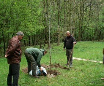 Výsadba pamätného stromu k príležitosti 100 výročia štátnej ochr