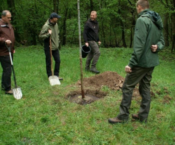 Výsadba pamätného stromu k príležitosti 100 výročia štátnej ochr