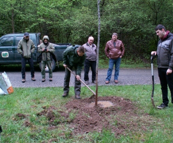 Výsadba pamätného stromu k príležitosti 100 výročia štátnej ochr